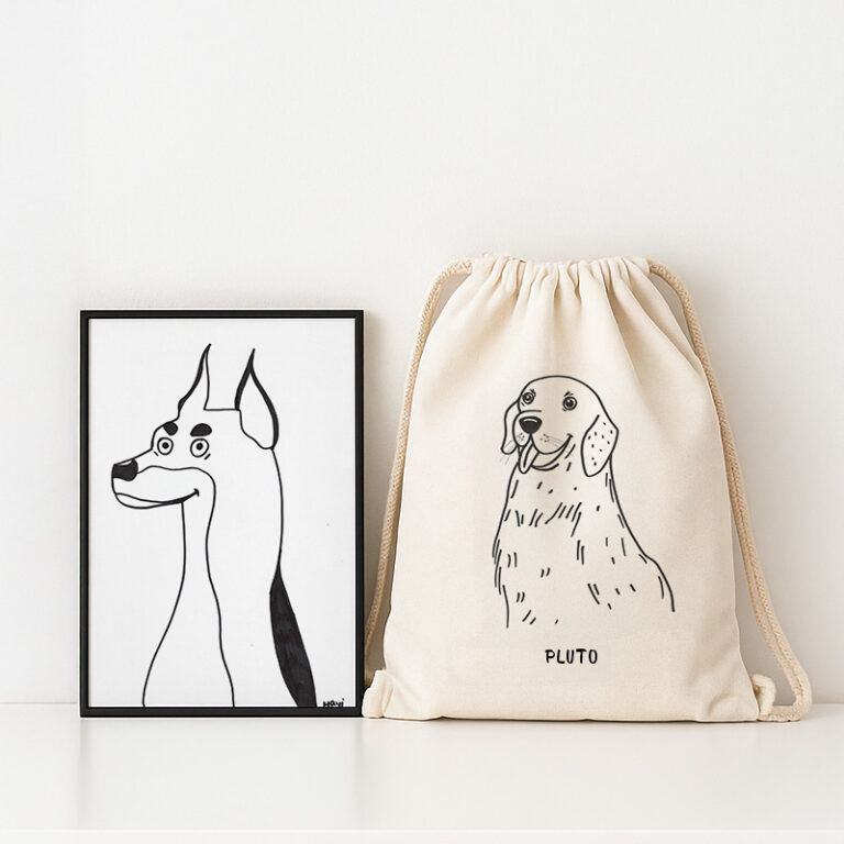 Bolsa y lamina